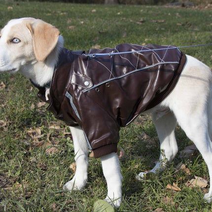 Pet Life ® 'Wuff-Rider' Fashion Suede Stitched Dog Jacket