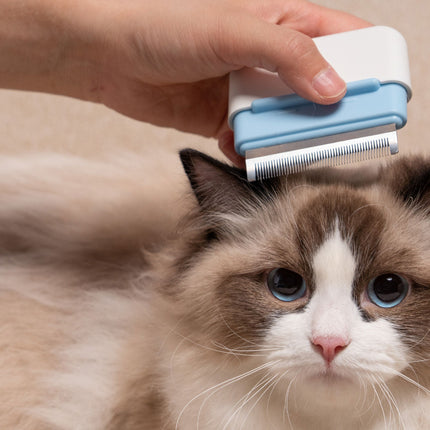 Pet Life ® 'Zipocket' 2-in-1 Underake and Stainless Steel Travel Grooming Pet Comb