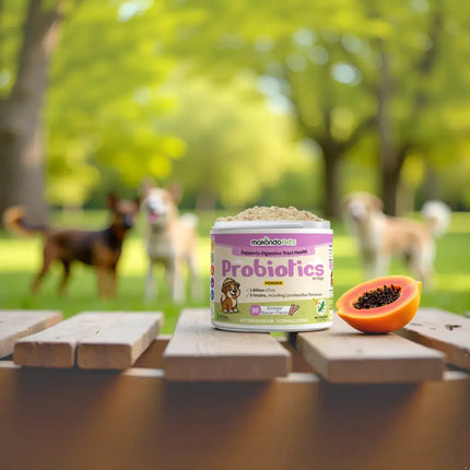 Probiotics for Dogs and Puppies. 90 Scoops