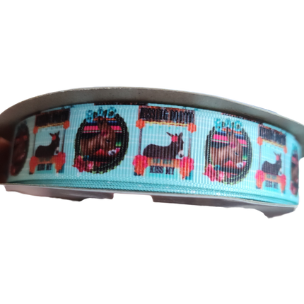 Donkey (Ass) Kissing Booth Nylon Dog Collar