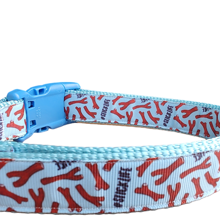 # Stick Life Light Blue Nylon Dog Collar MD, LG, XL, Leash, Martingale