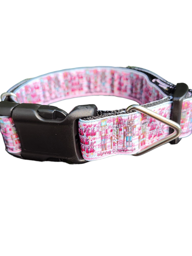 Ya'll Are Nuts! Nutcracker Nylon Dog Collar