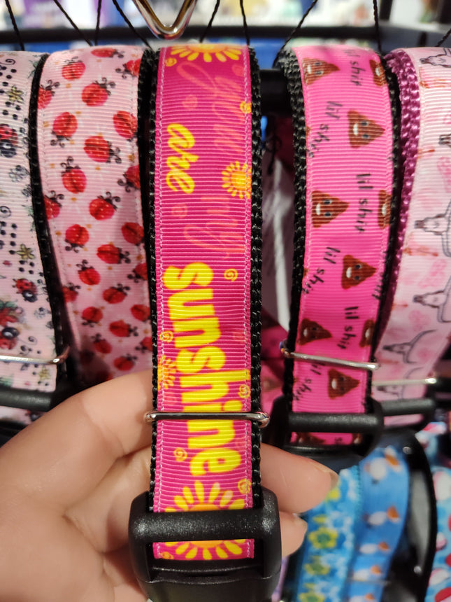You Are My Sunshine Nylon Dog Collar