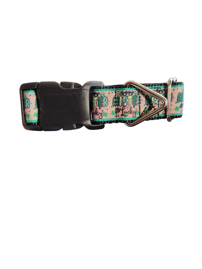 Mister Lucky Nylon Dog Collar