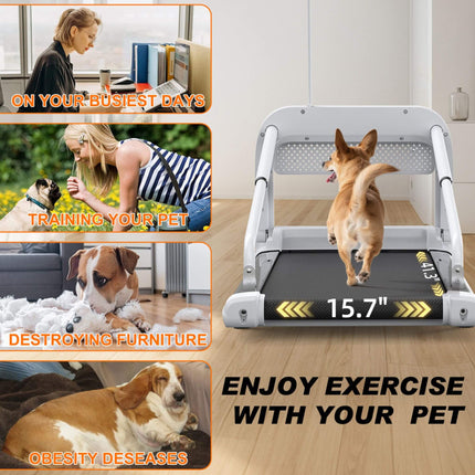 Smart Pet Treadmill With Adjustable Speed For Small And Medium Dogs