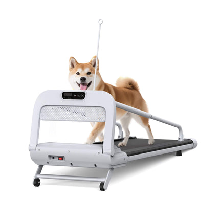 Smart Pet Treadmill With Adjustable Speed For Small And Medium Dogs