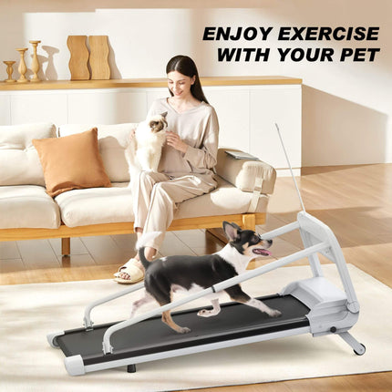 Smart Pet Treadmill With Adjustable Speed For Small And Medium Dogs