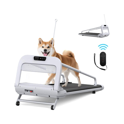 Smart Pet Treadmill With Adjustable Speed For Small And Medium Dogs
