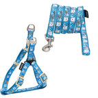 Large / Blue Pattern