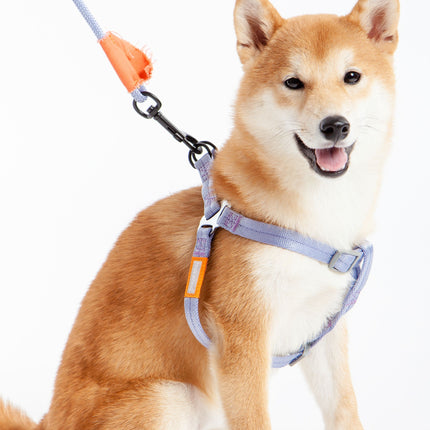 Touchdog ® 'Macaron' 2-in-1 Durable Nylon Dog Harness and Leash