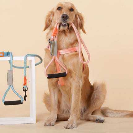 Touchdog ® 'Macaron' 2-in-1 Durable Nylon Dog Harness and Leash