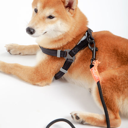 Touchdog ® 'Macaron' 2-in-1 Durable Nylon Dog Harness and Leash