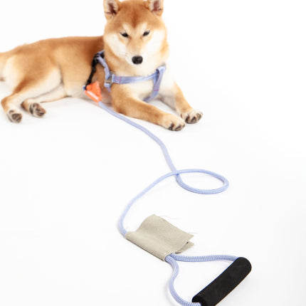 Touchdog ® 'Macaron' 2-in-1 Durable Nylon Dog Harness and Leash