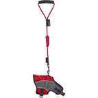 X-Small / Dark Red, Charcoal Grey