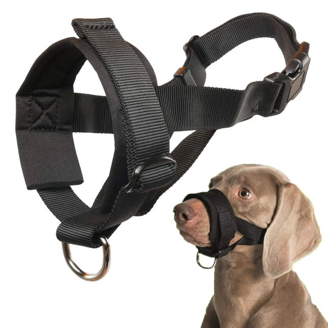 Dog Muzzle for Small Medium Large Dogs Anti Biting Barking Chewing with Soft Padding and Adjustable Loop